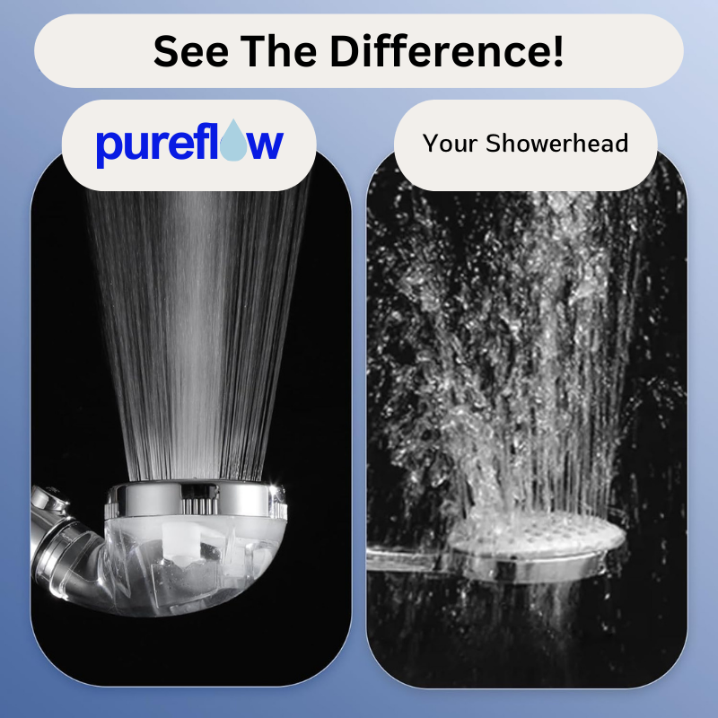 PureFlow™ Ion Shower Head